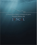 La flota de Nueva España y la búsqueda del galeón Nuestra Señora del Juncal