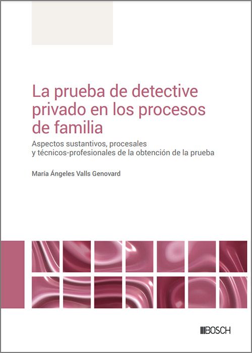 La prueba de detective privado en los procesos de familia