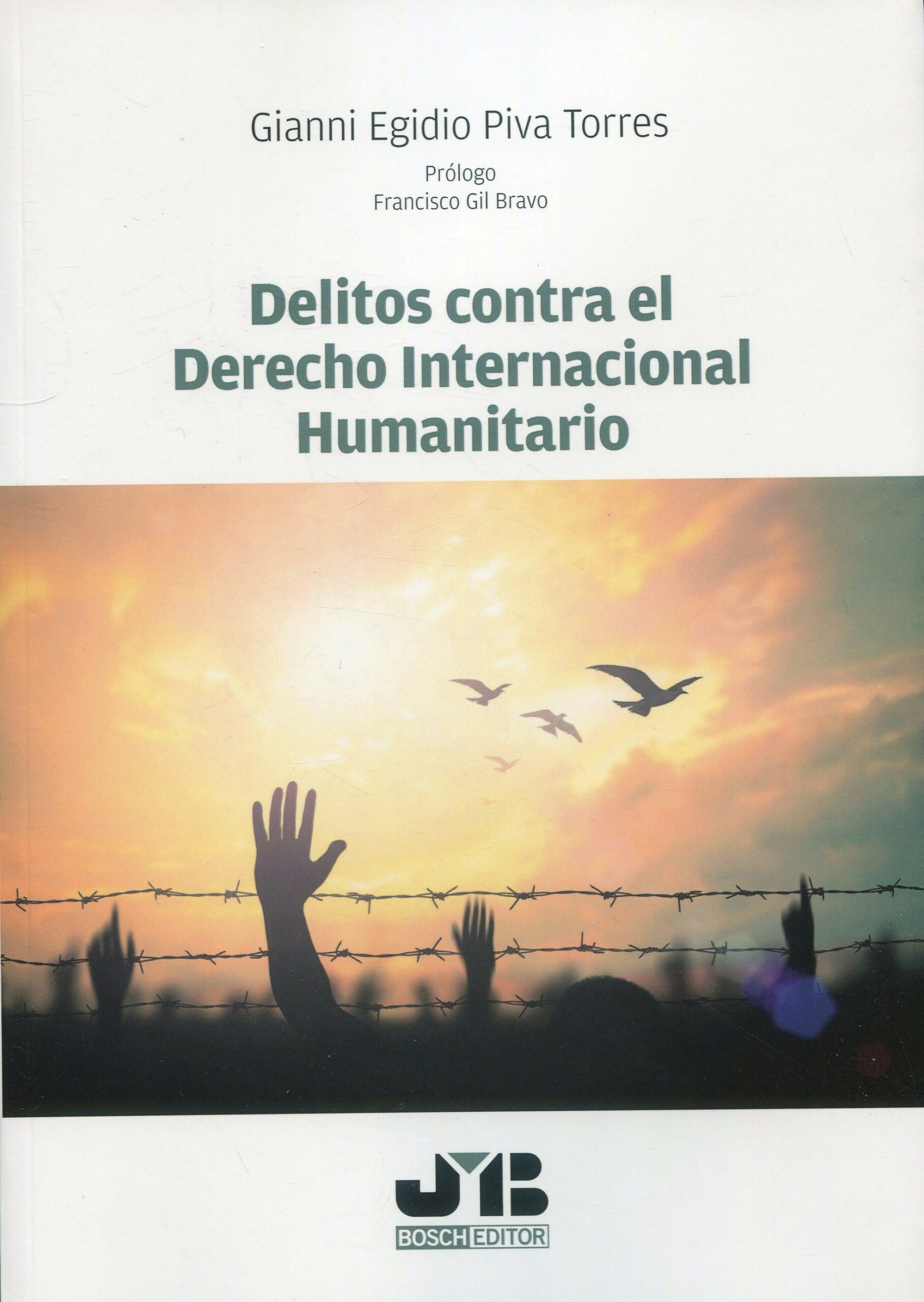 Delitos contra el Derecho internacional humanitario. 9788419580528